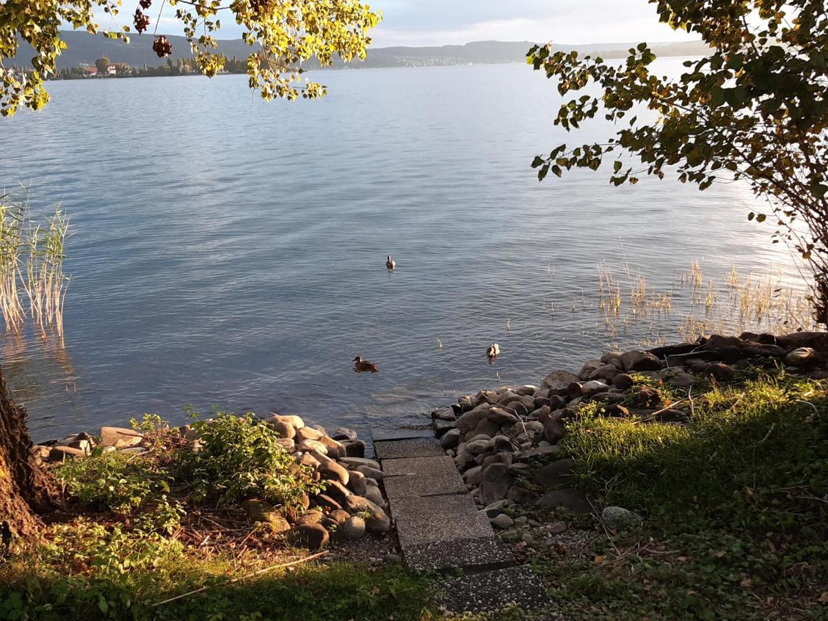 Lakeside - Seeufer