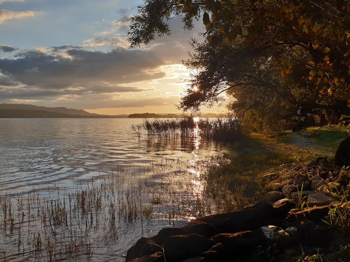 Lakeside - Seeufer Allensbach